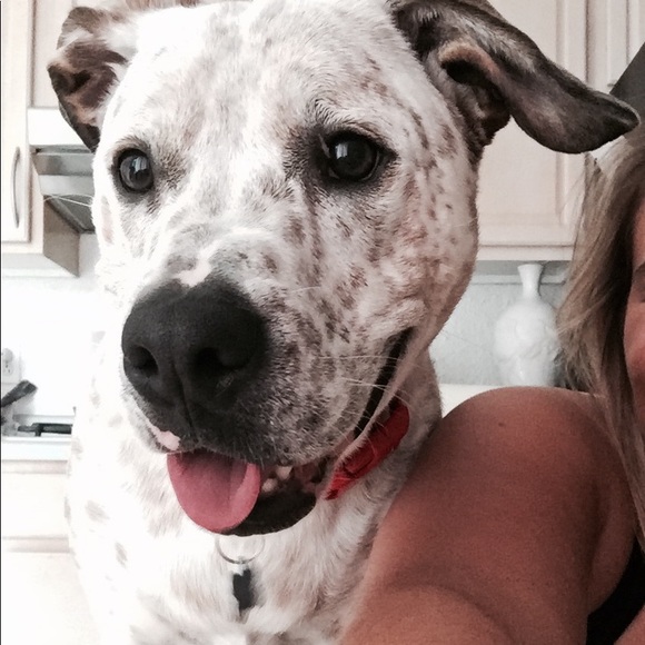 Meet your Posh Ambassador, Michaelina - Picture 8 of 11